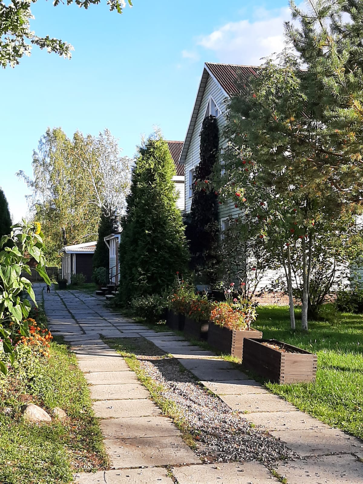 Фото Андога