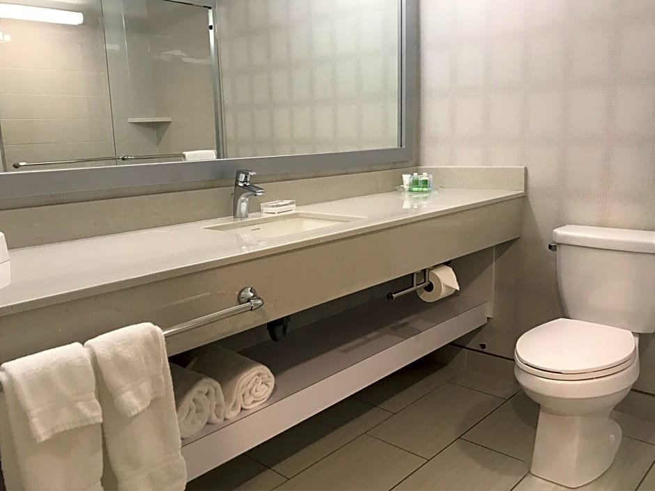 Фото Holiday Inn Winnipeg - Airport West