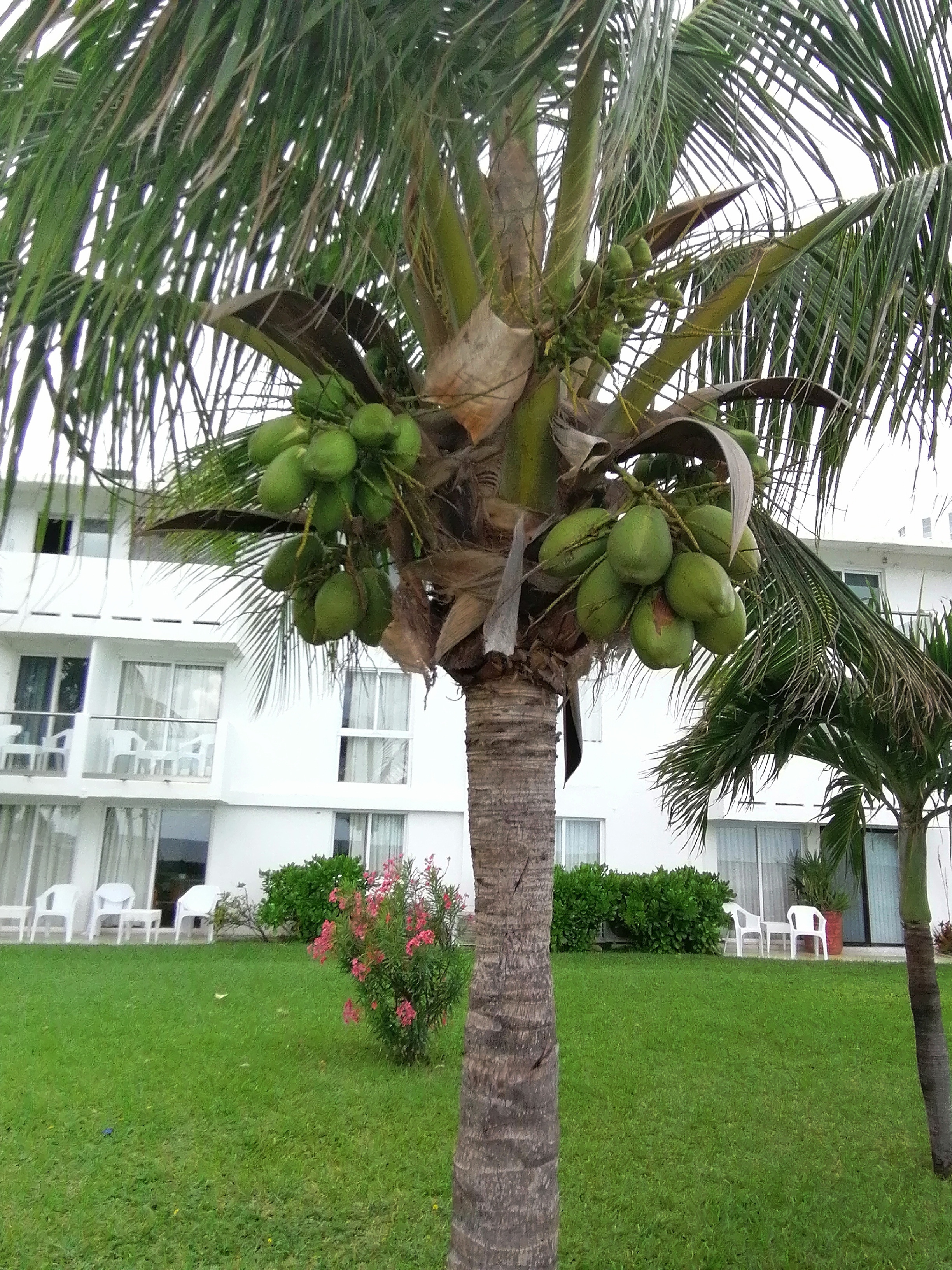 Фото Hotel Dos Playas Faranda Cancun