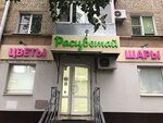 Rascvetay (Leninskiy Avenue, 80/1), flower shop