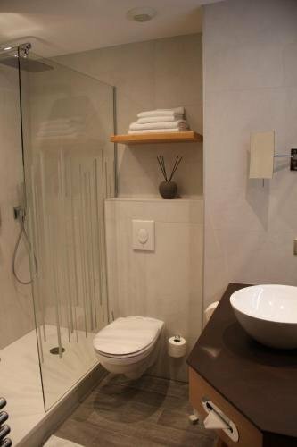 Внешний вид отеля Hotel SPA Restaurant Domaine Du Moulin в Энси-Шеме, фото 2