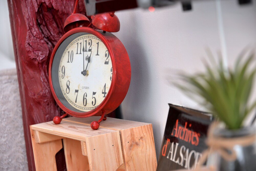 Фото La Terrasse sur Cour