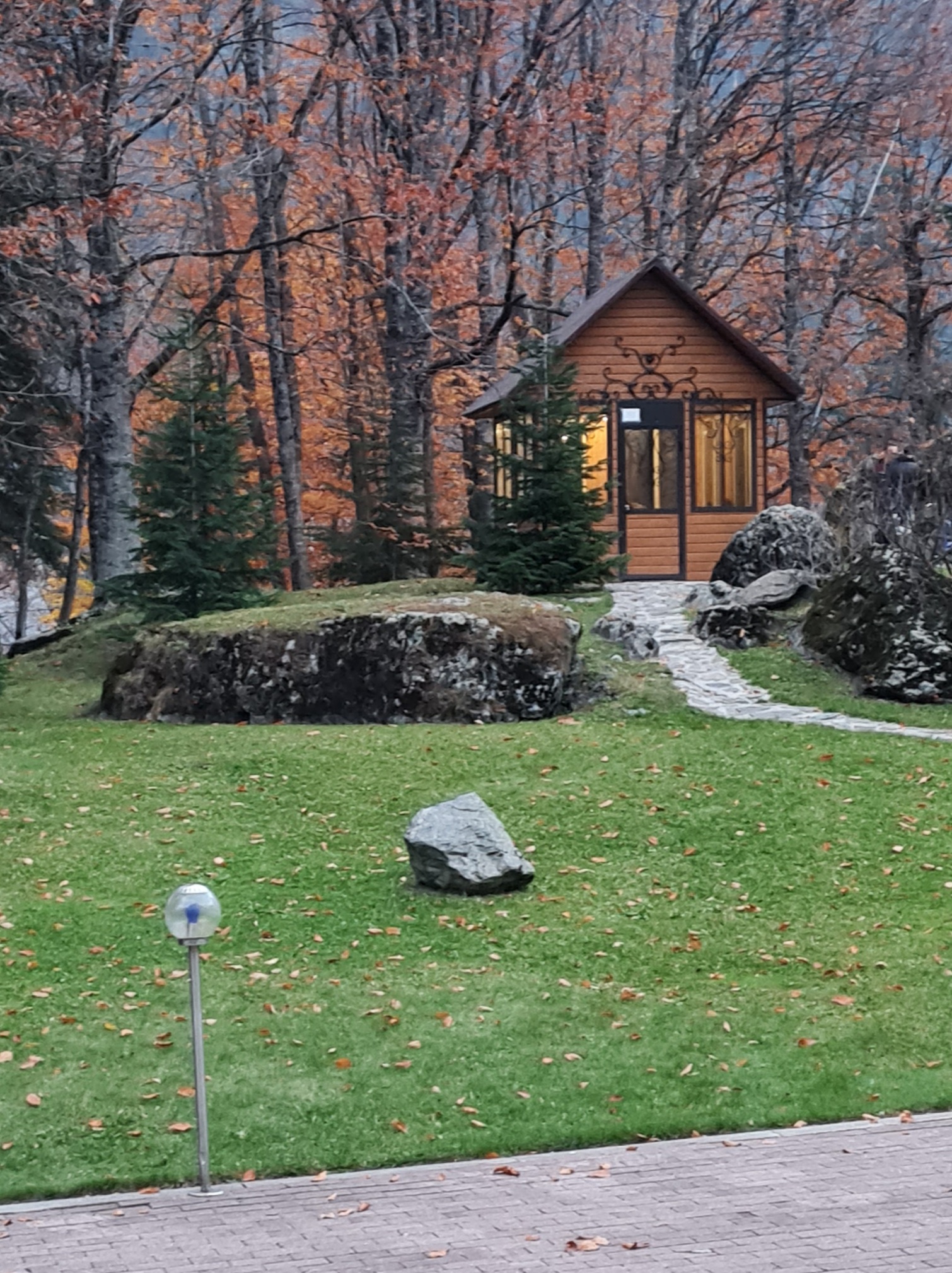 Фото Белалакая