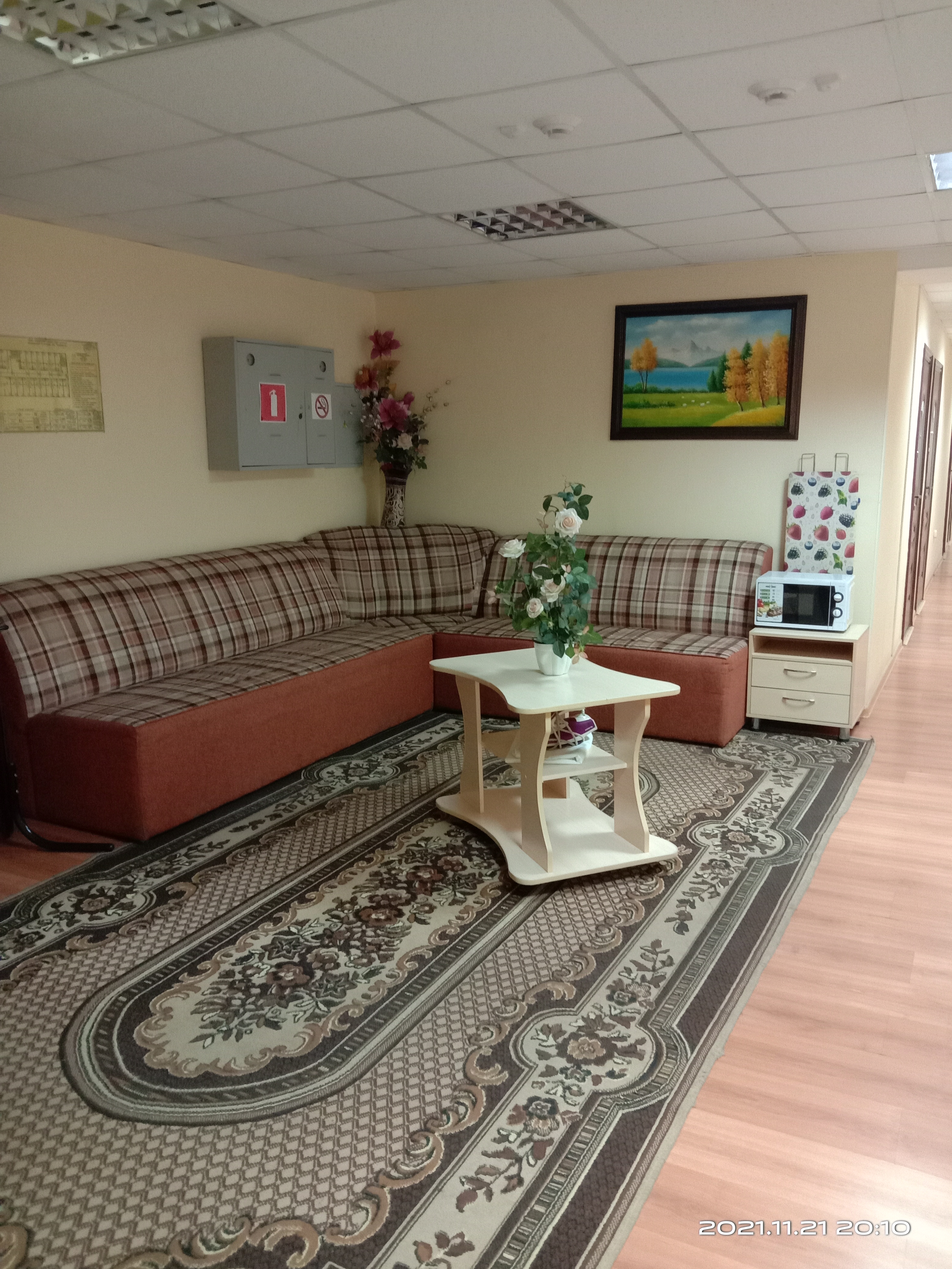 Фото Березка