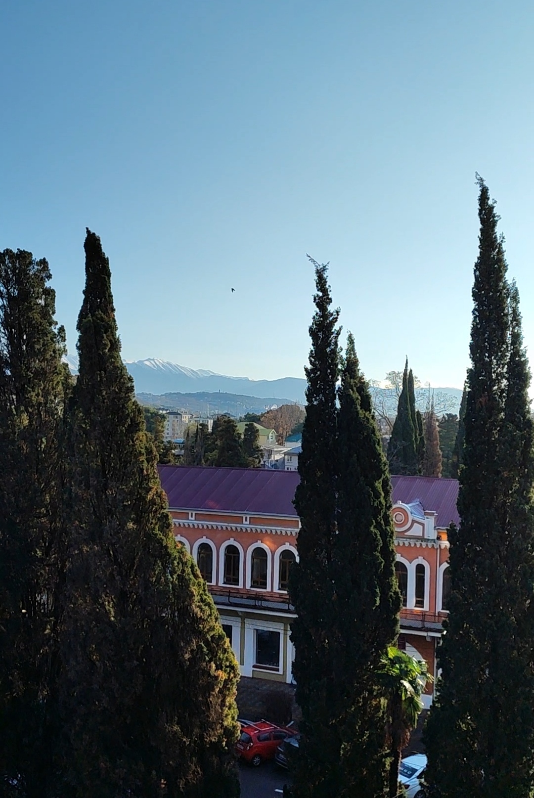 Фото Морская звезда