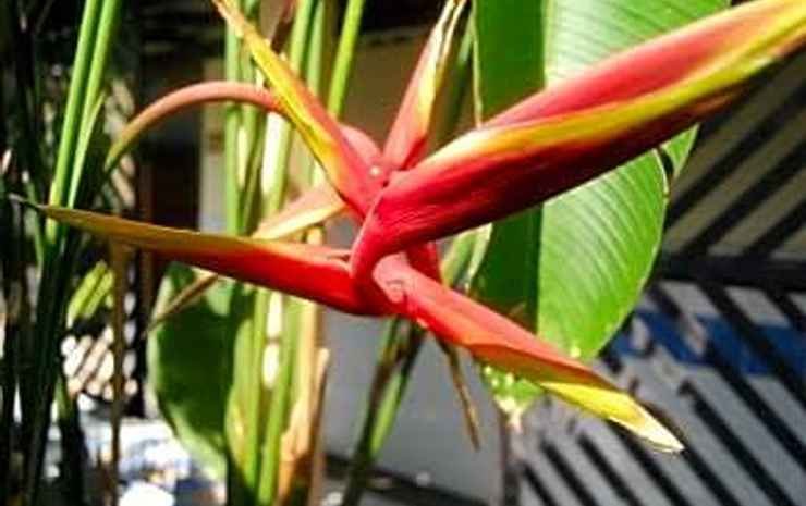 Фото Paradorn Hotel