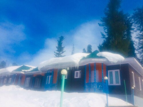 Гостиница Pine View Resort - Gulmarg