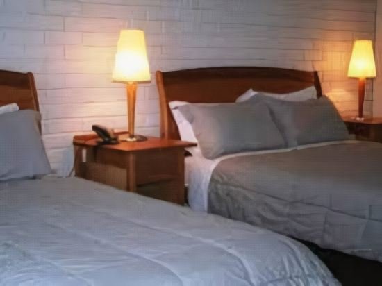 Фото Comfort Inn The International