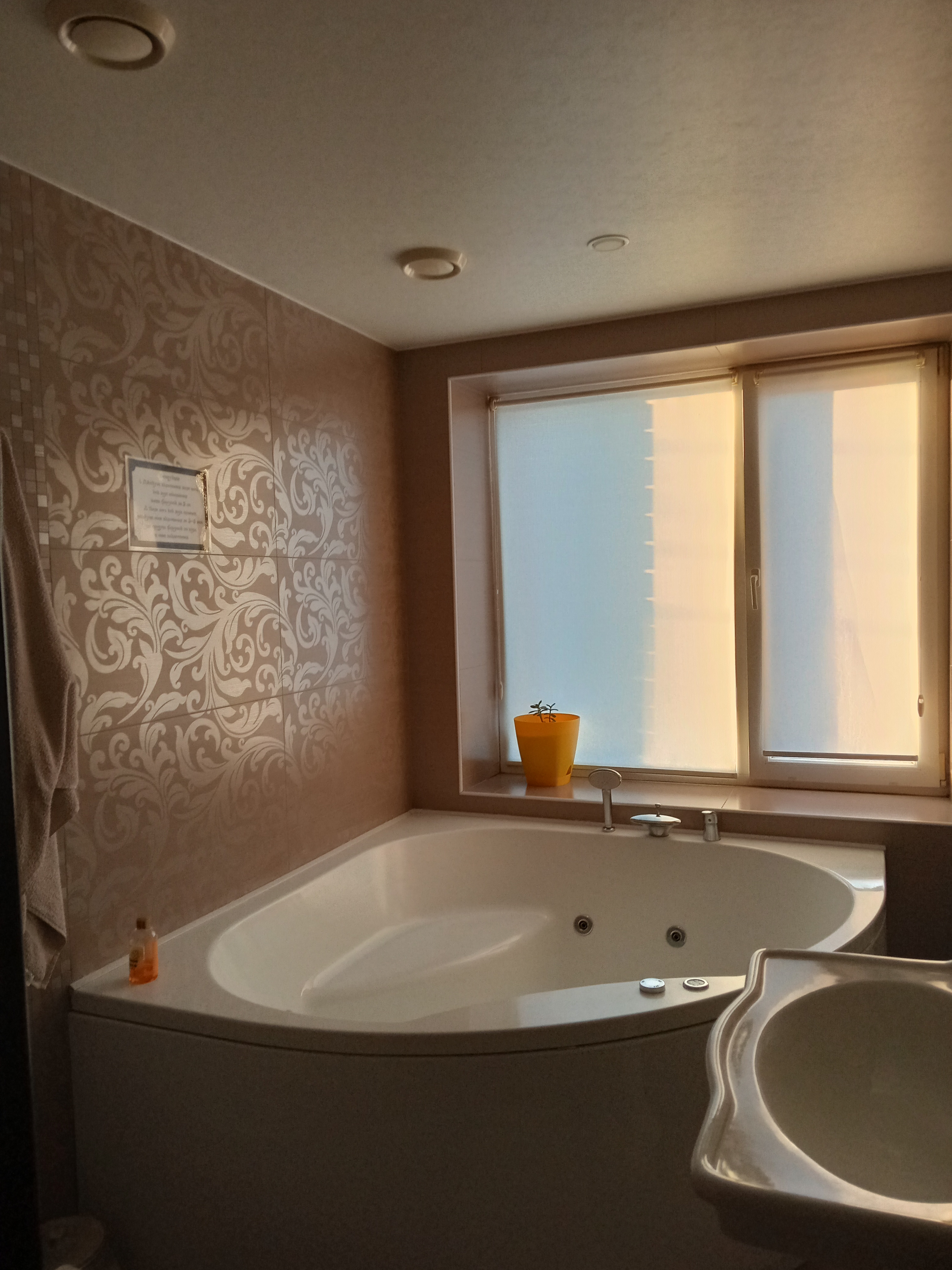 Фото Версаль