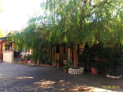 Фото I Gerani Rossi