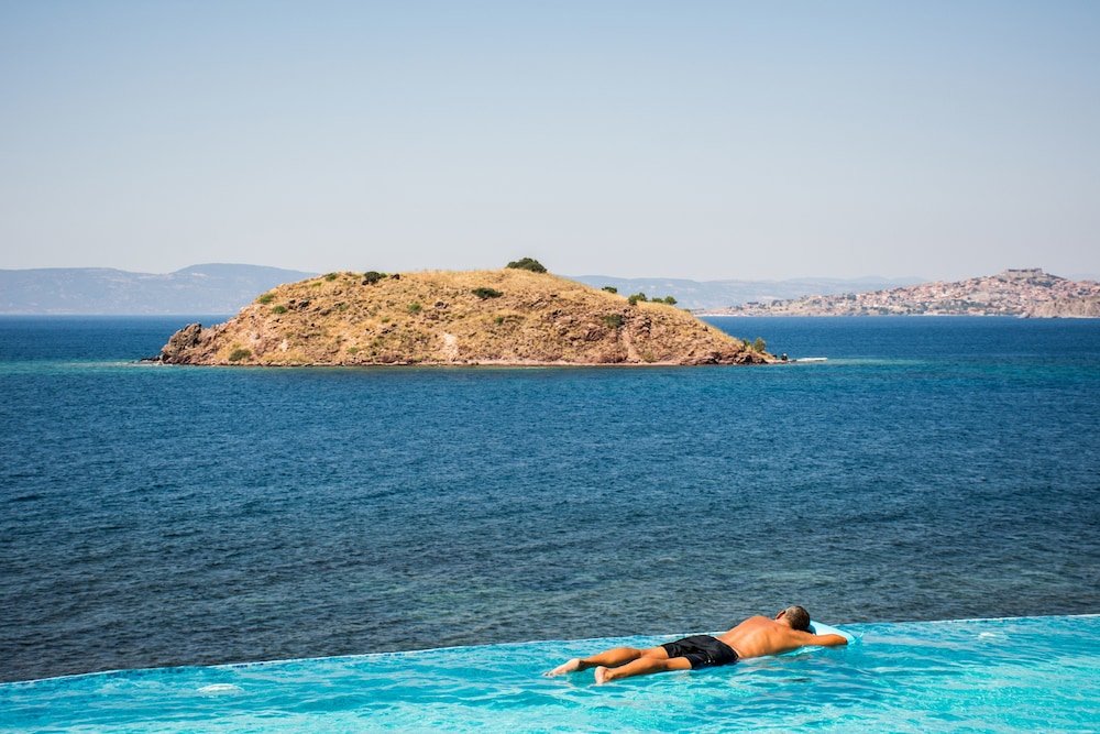 Фото Little Bird