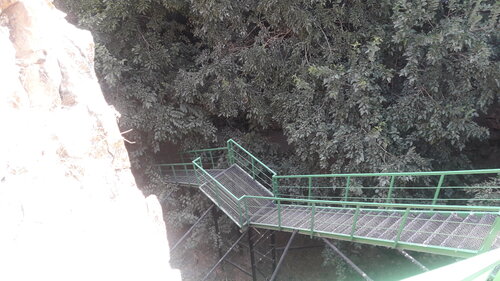 Стриптиз мүшесі