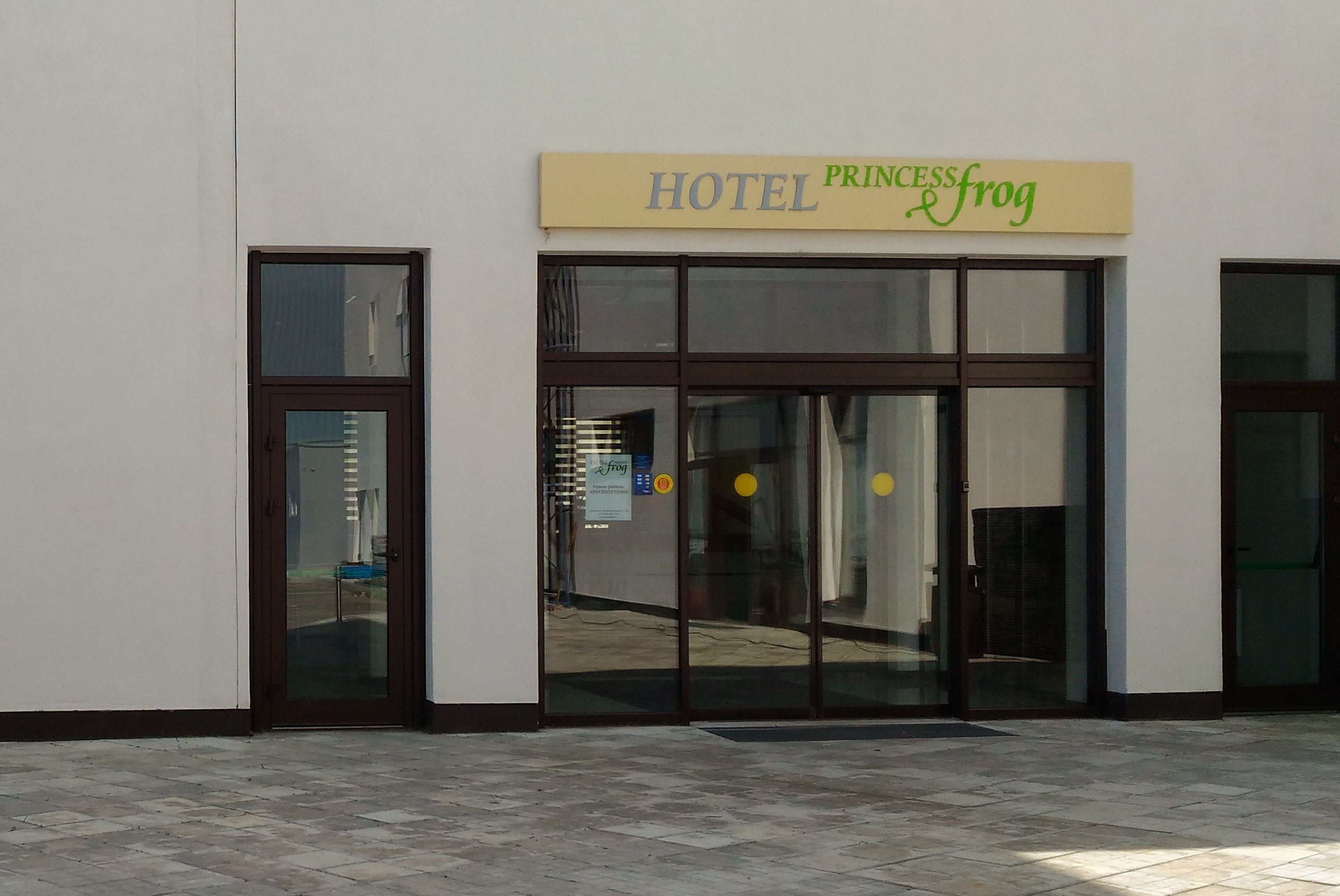 Фото Princess Frog