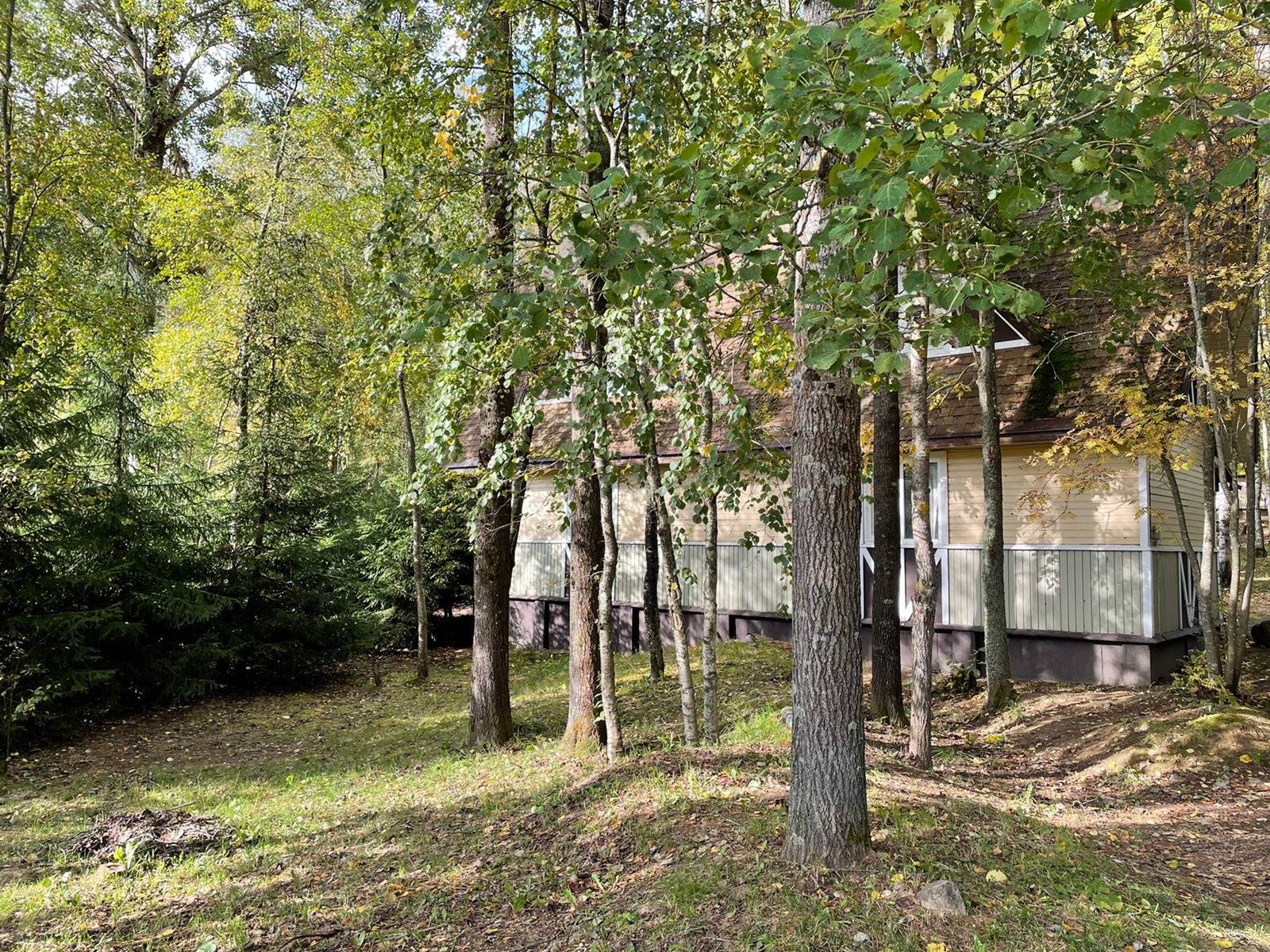 Фото Снежный