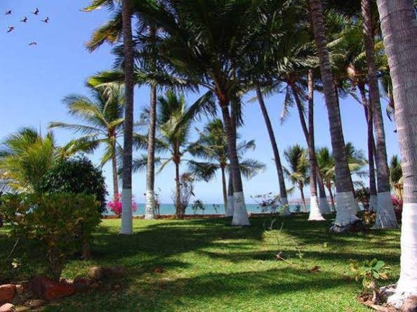 Фото Vista Vallarta All Suites on the Beach