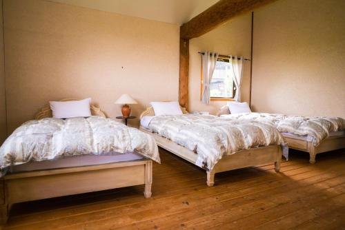 Фото Fiore Shima