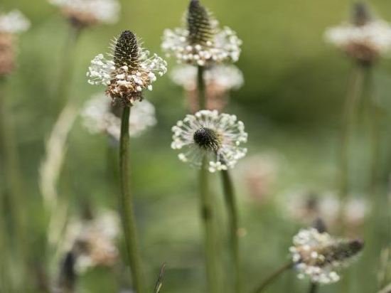 Фото The Masons Arms