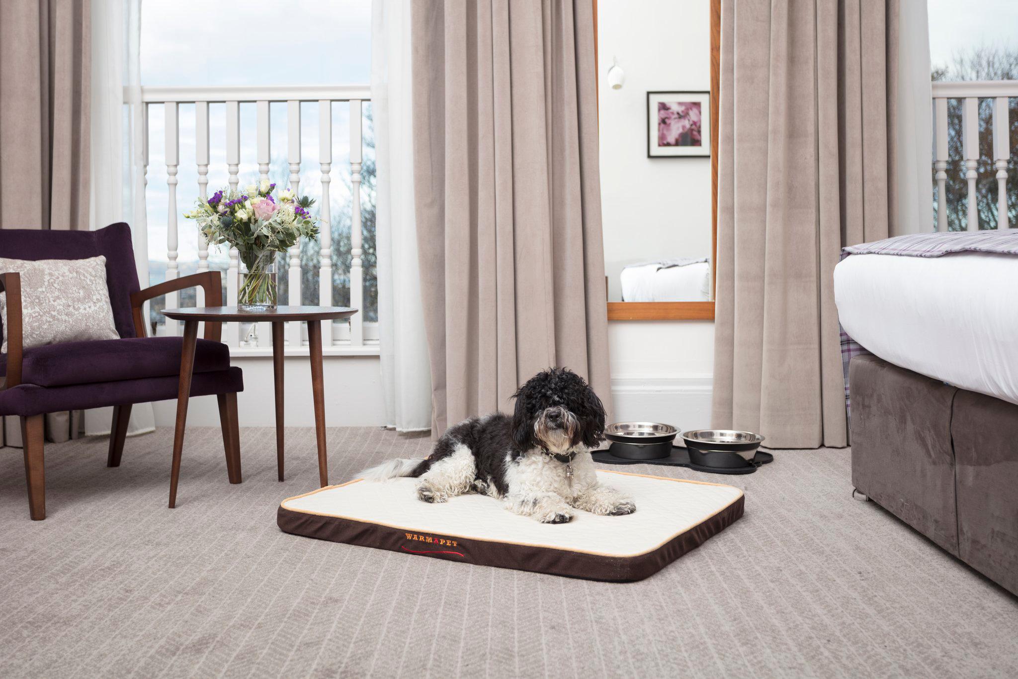 Фото voco Edinburgh  Royal Terrace by IHG