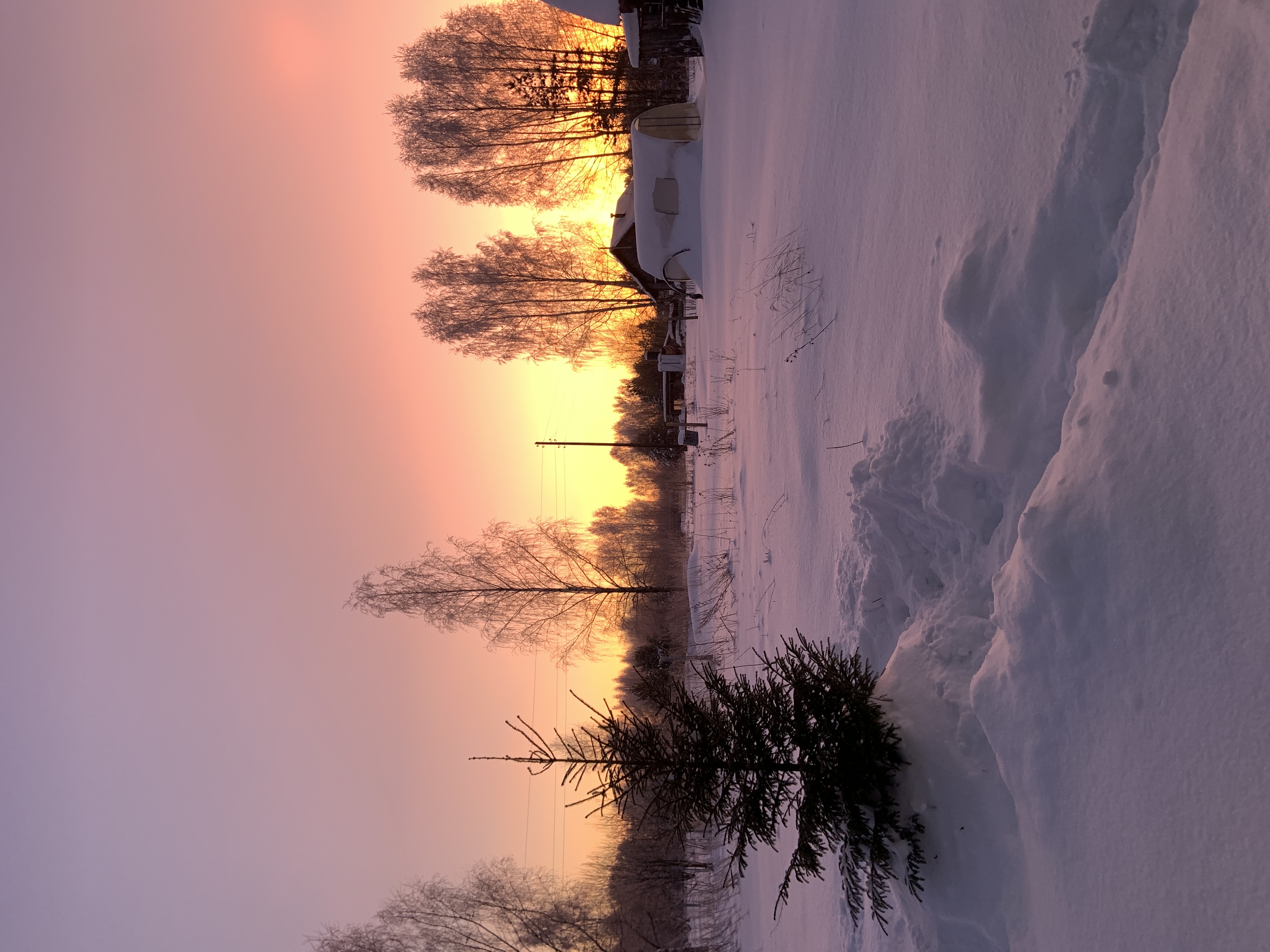 Фото Экопарк Акулово