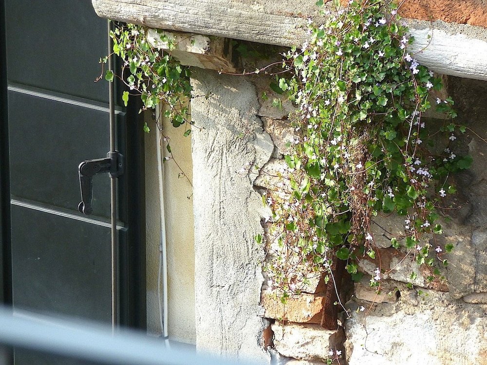 Фото Residenza Contarini