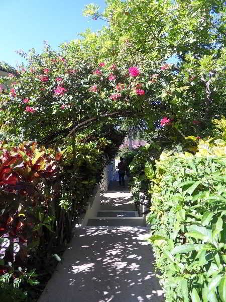 Фото Relax Resort