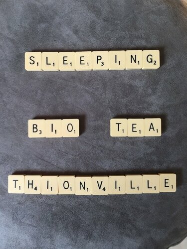 Гостиница Sleeping Bio Tea Bed and Breakfast в Тионвиле