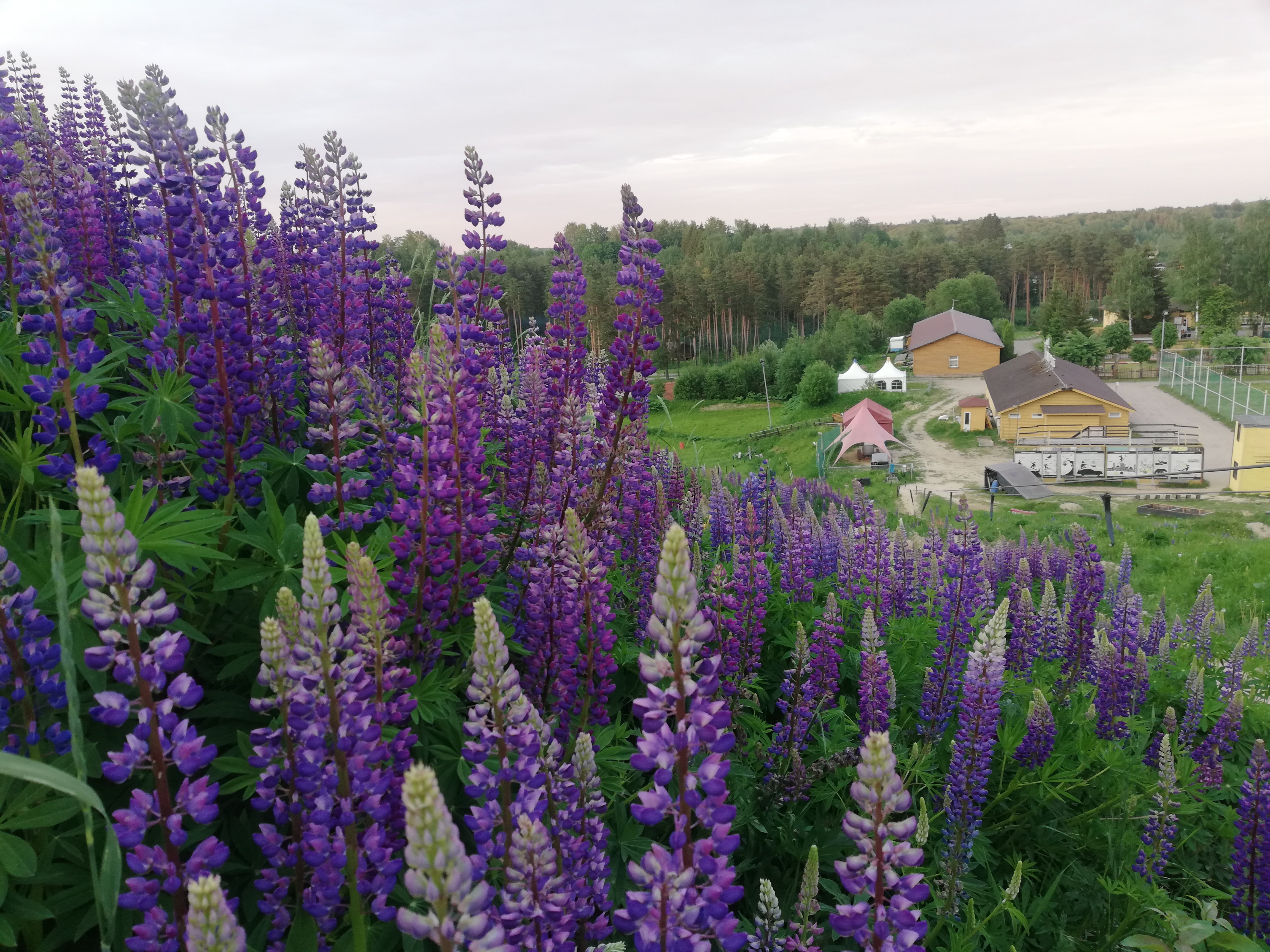 Фото Северный Берег