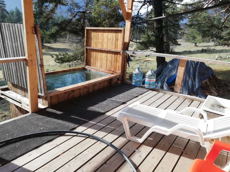 Фото Лесной кот