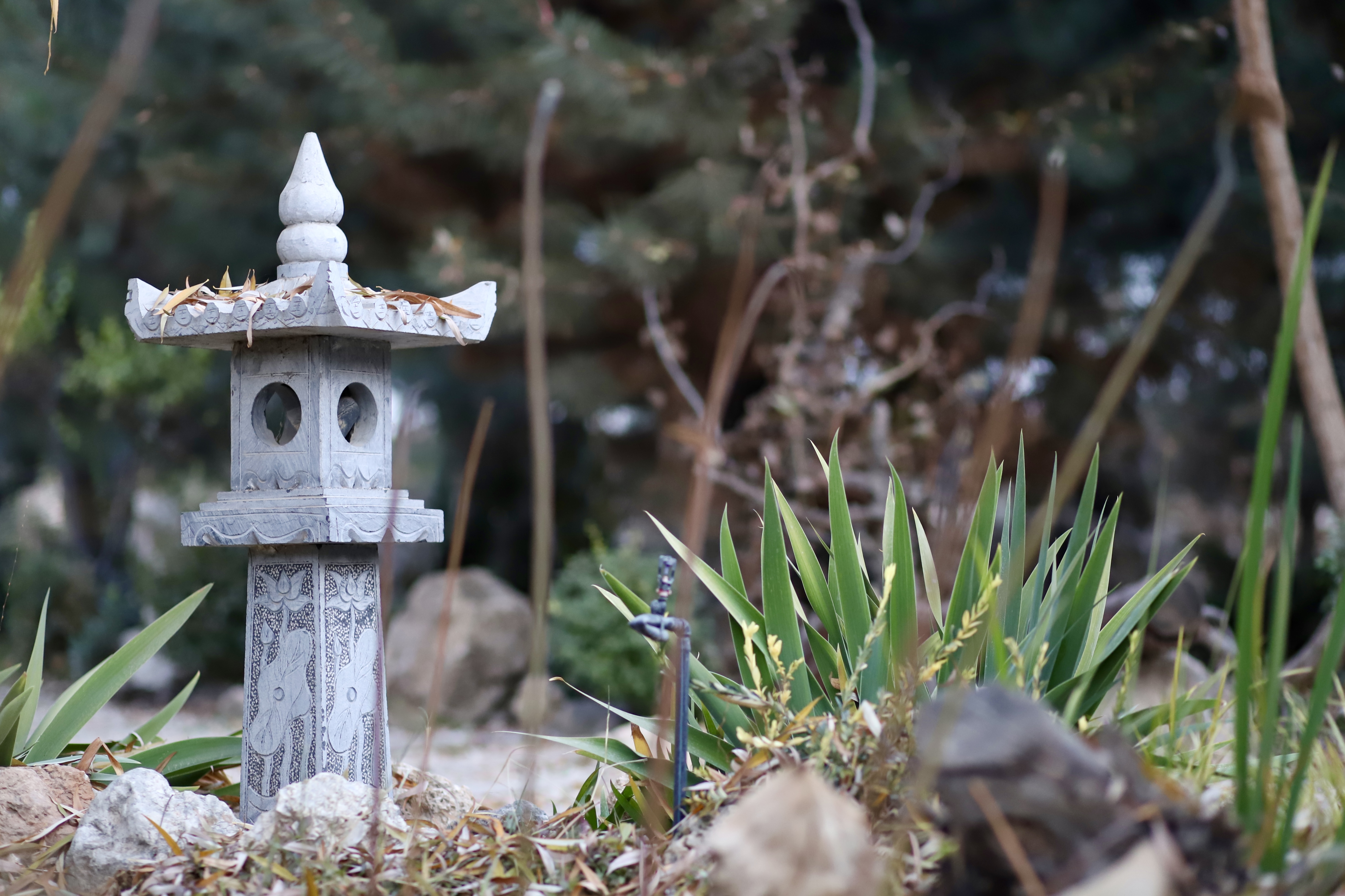 Фото Uzumfermer. uz