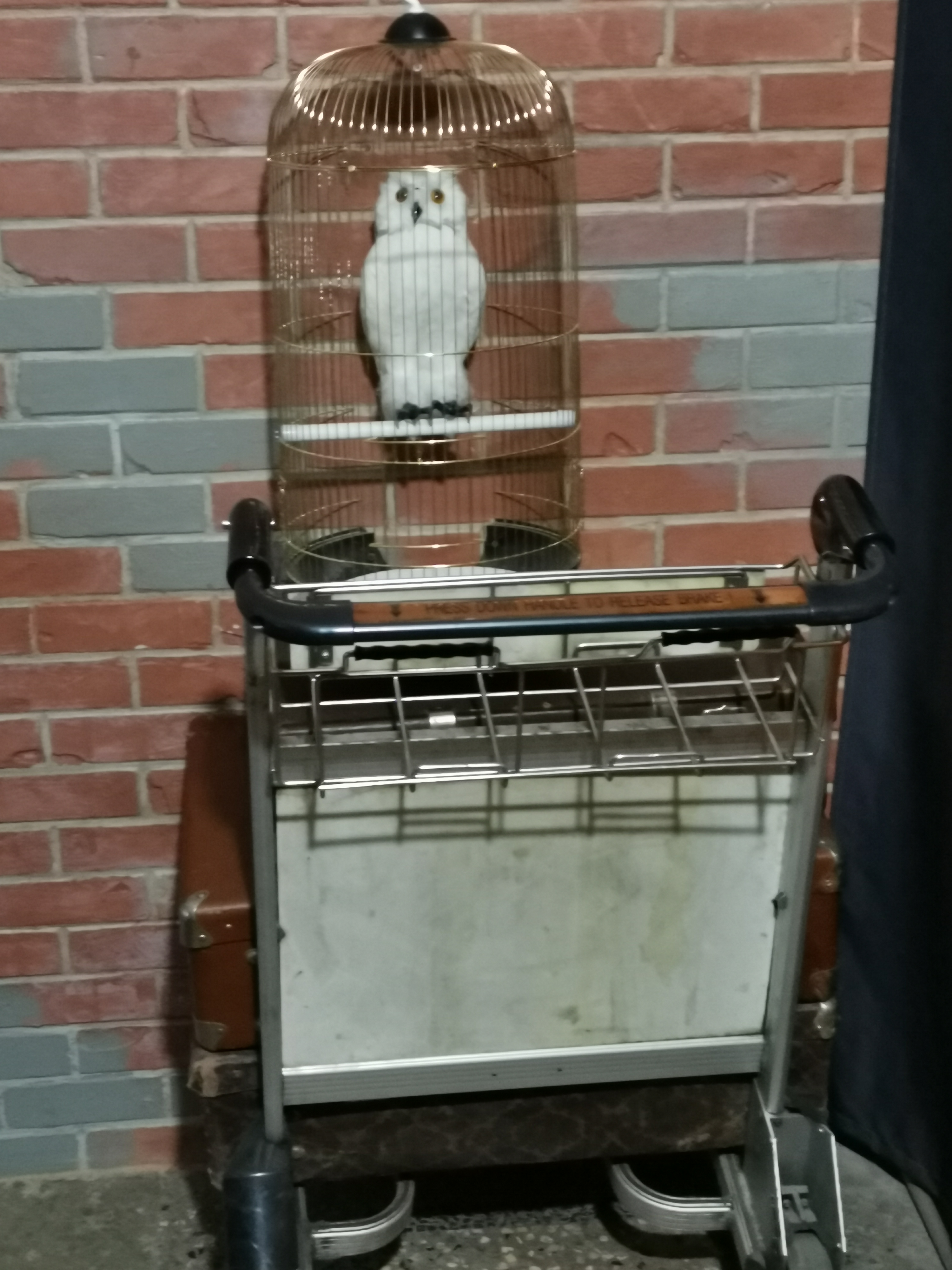 Фото Платформа 9 3/4