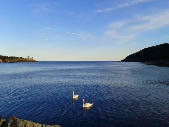 Фото Langesund Bad Hotell