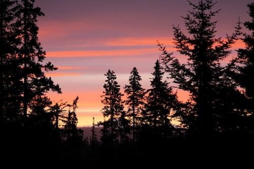 Фото Hotel Captain Cook