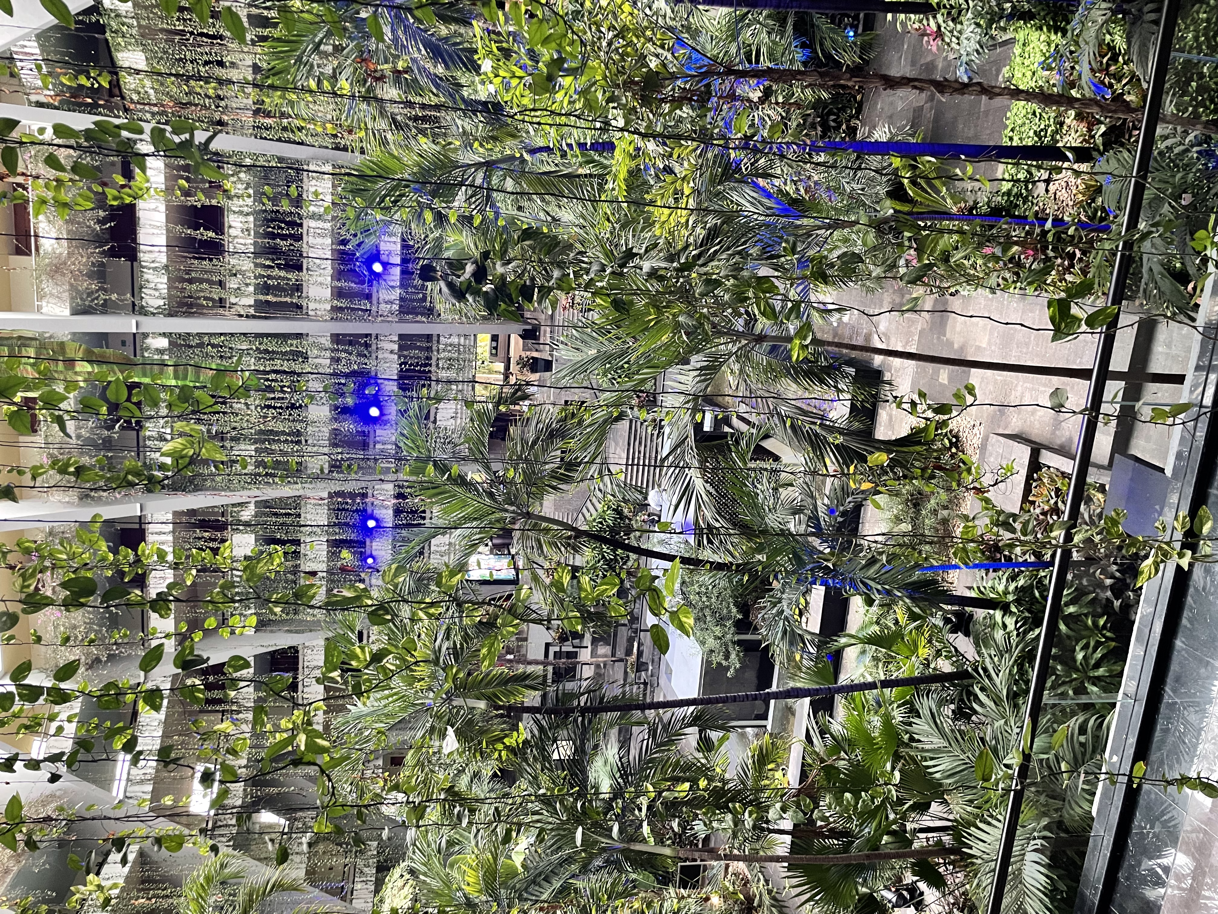 Фото Grand Oasis Cancun