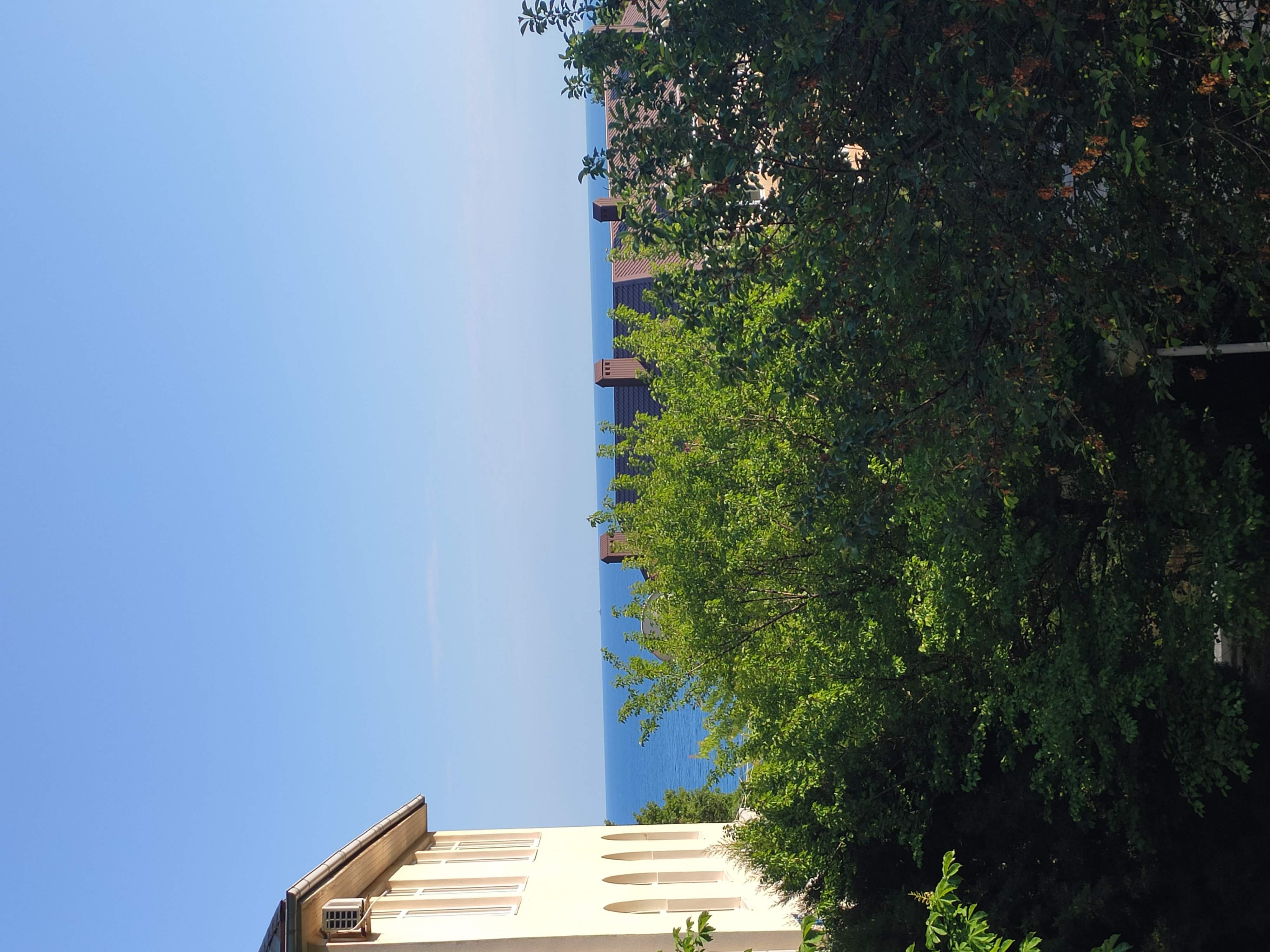 Фото Звёздный