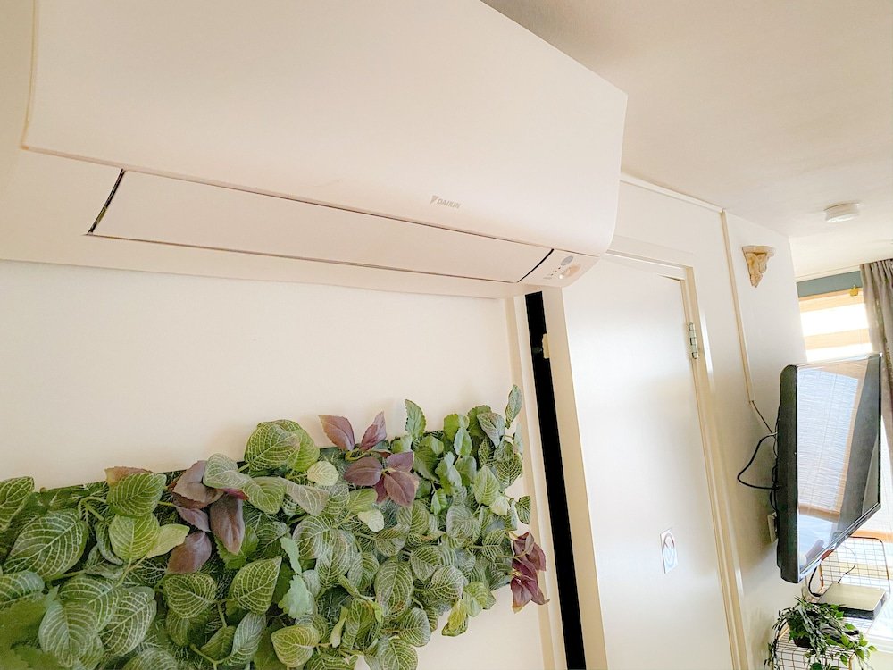 Фото Edson Guesthouse