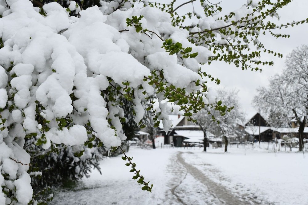 Фото Tromostovje apartments