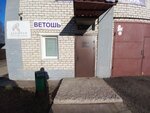 СК21Век (Партизанский район, микрорайон Степянка, ул. Карвата, 87, корп. 1), строительные леса в Минске