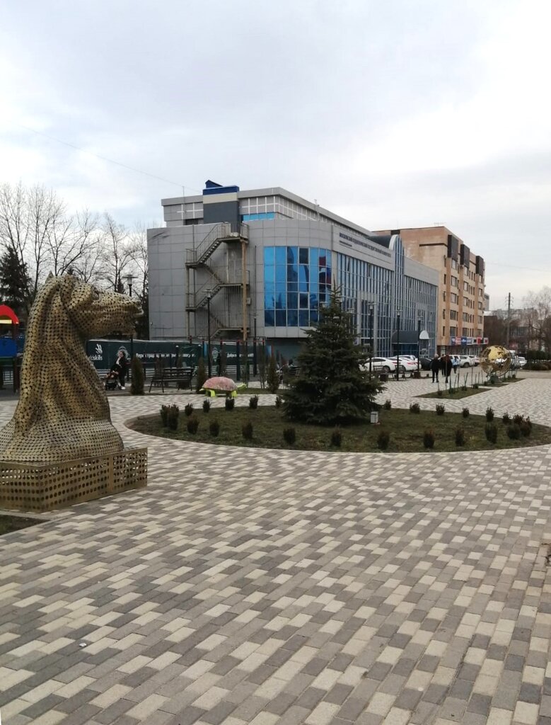 Колледж Ставропольский гуманитарный колледж, Ставрополь, фото