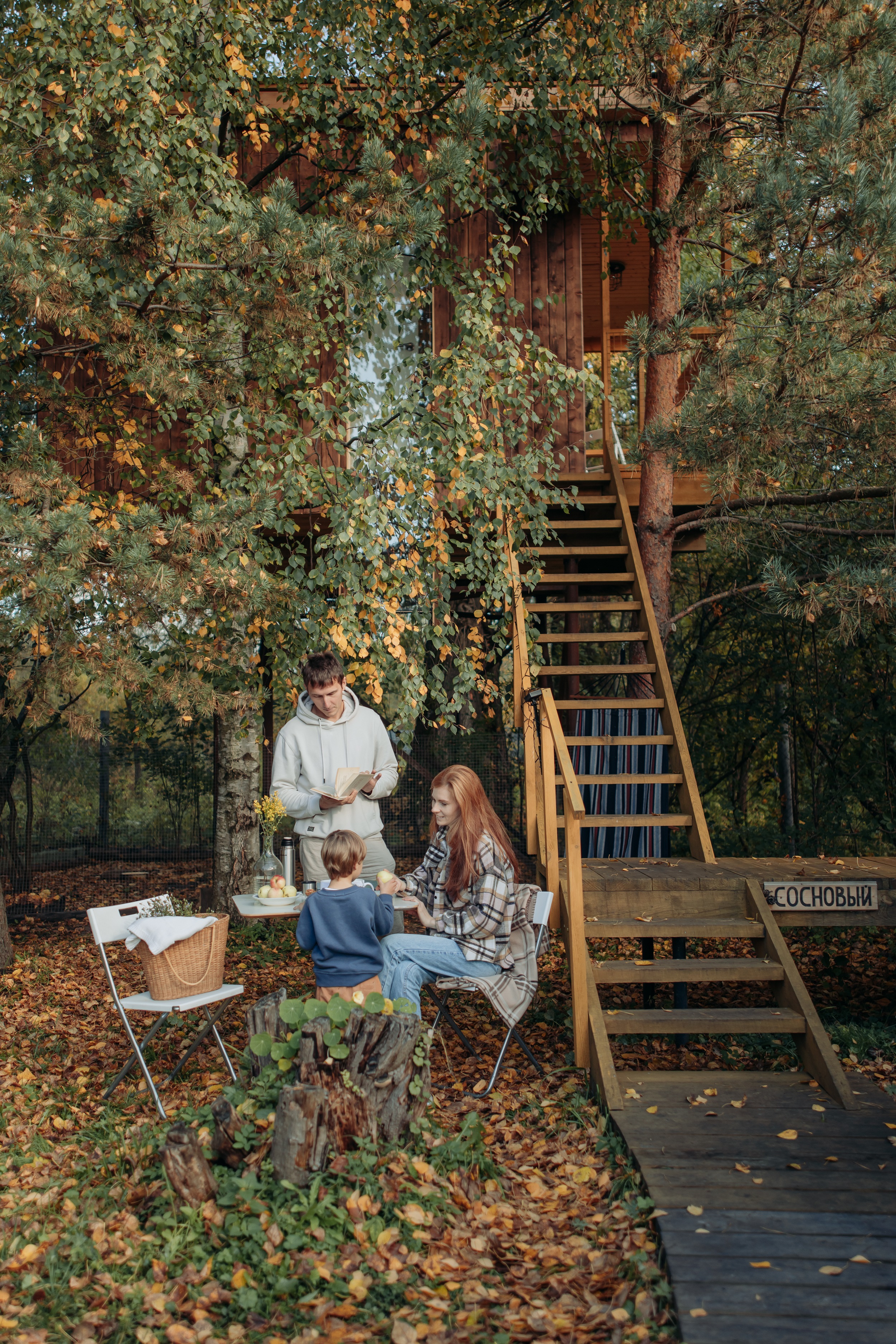 Фото Дом на дереве