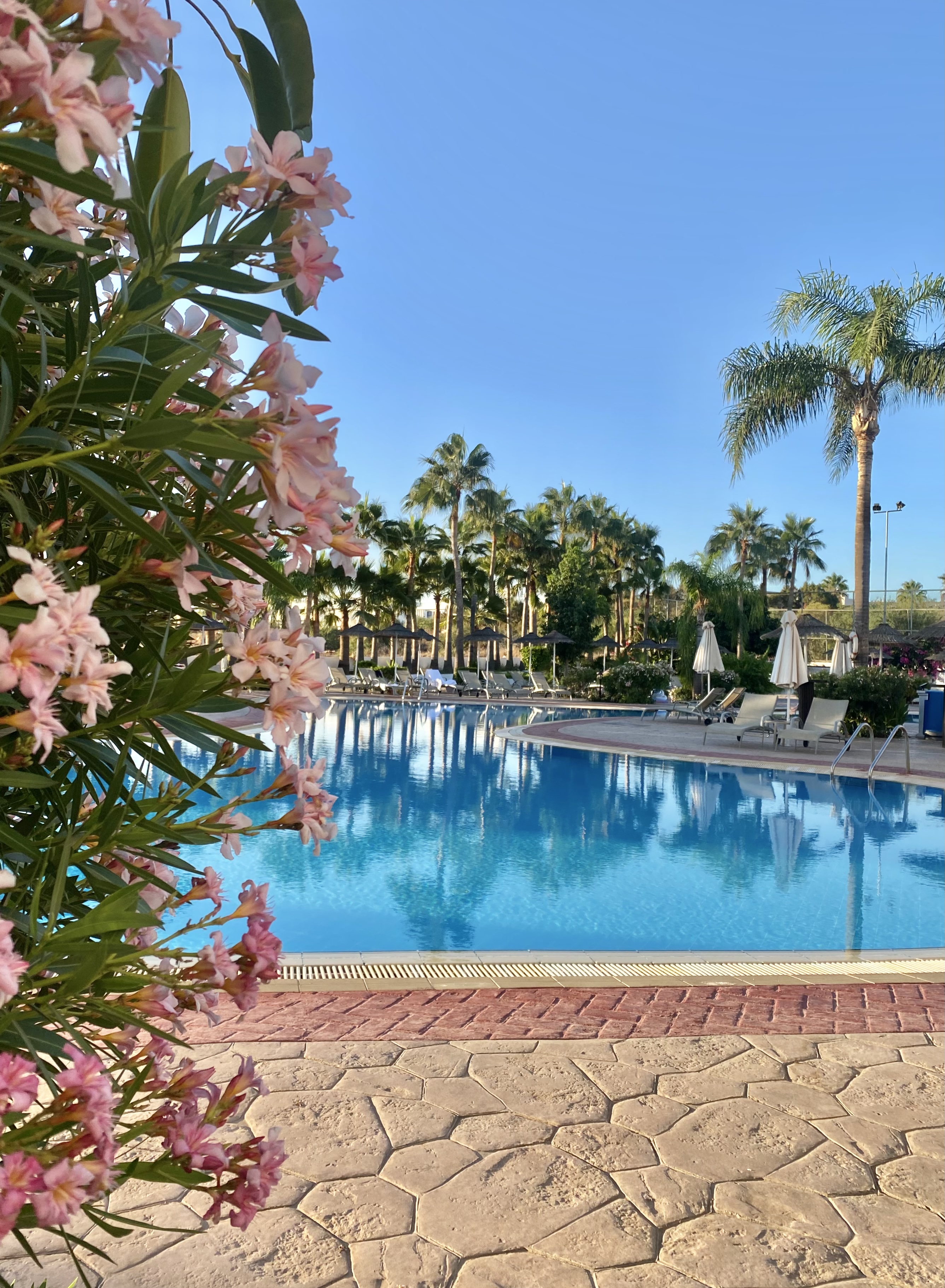 Фото Tsokkos Gardens Hotel