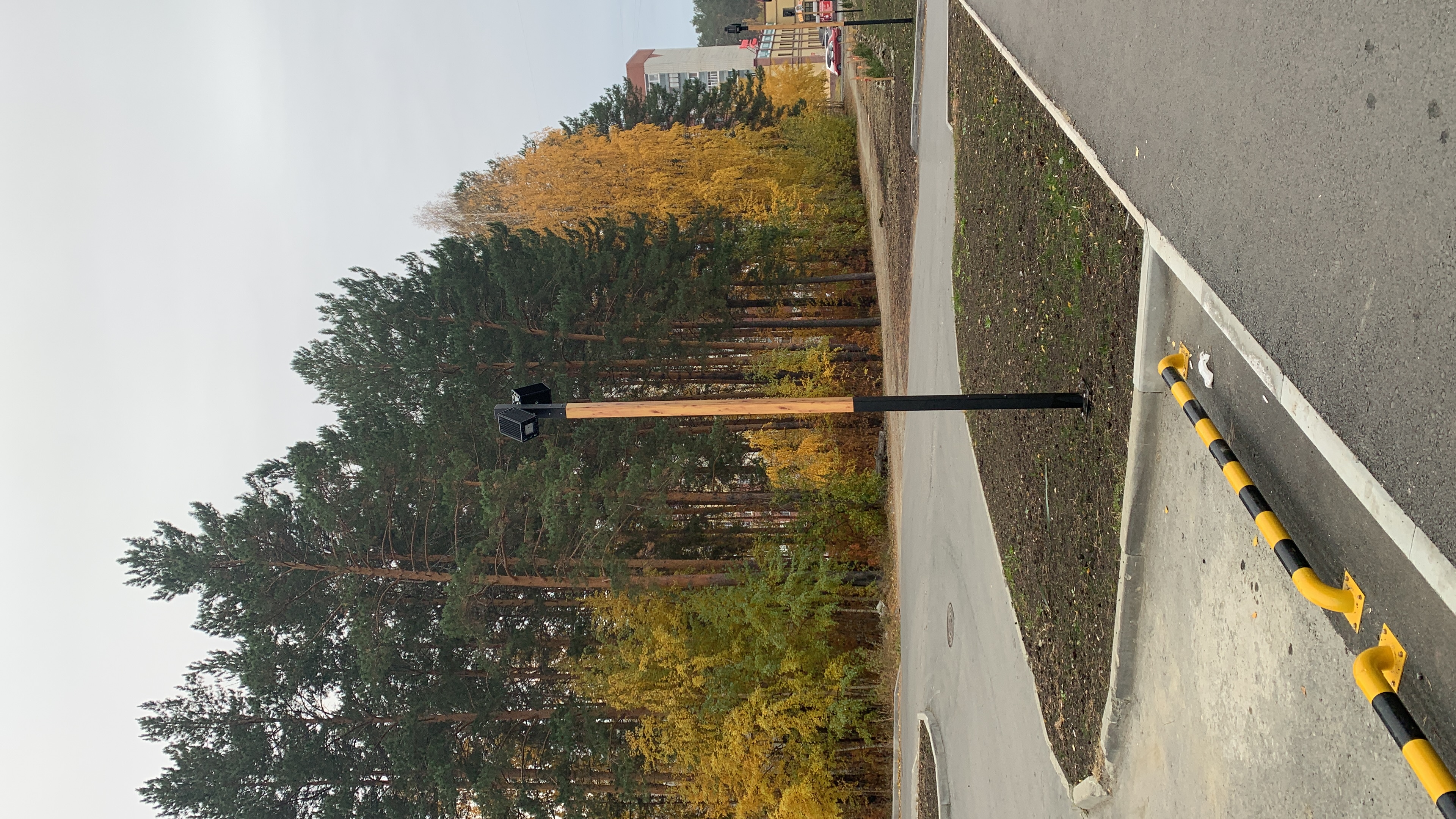 Фото Верона