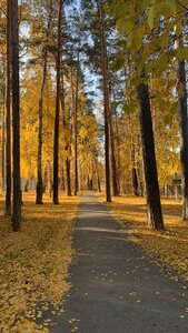 Верона