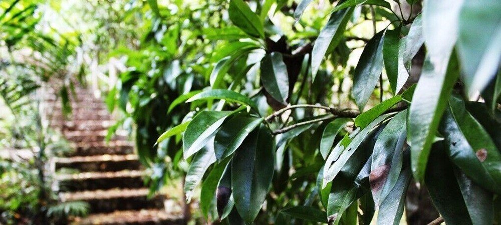 Фото Xkopek Camping