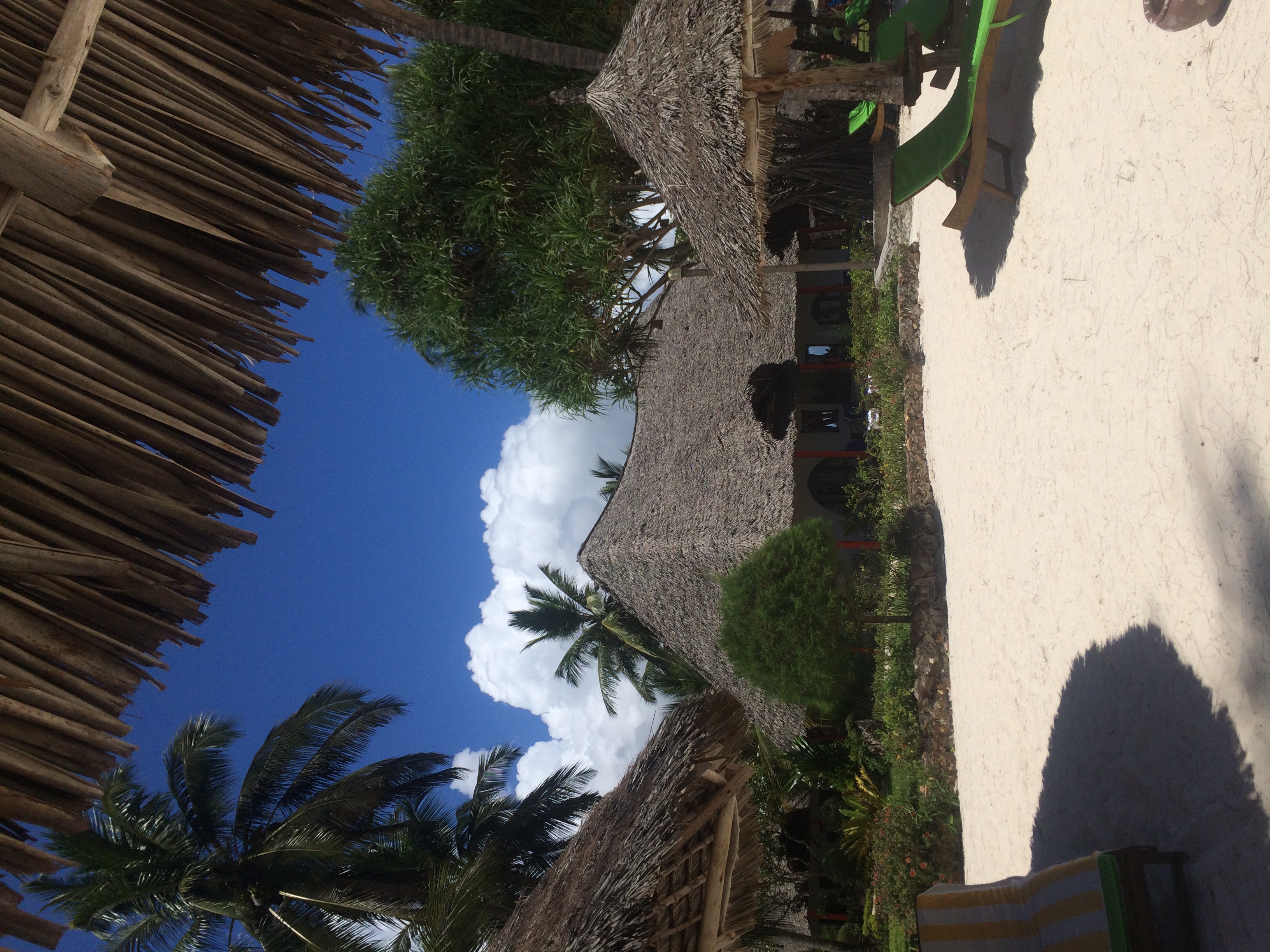 Фото Kiwengwa Beach Resort