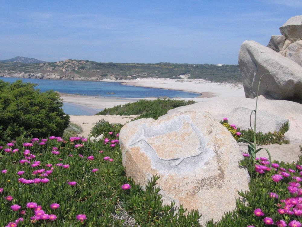 Фото Villette Oleandri Vista Mare