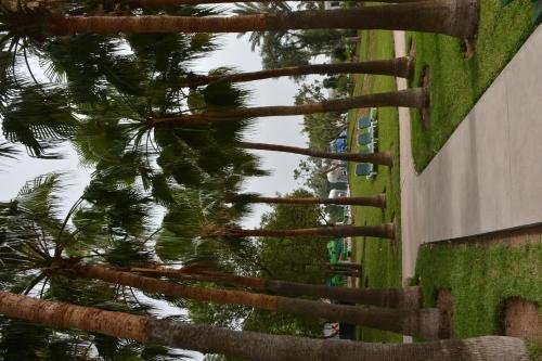 Фото Les Jardins D'Agadir Club Resort