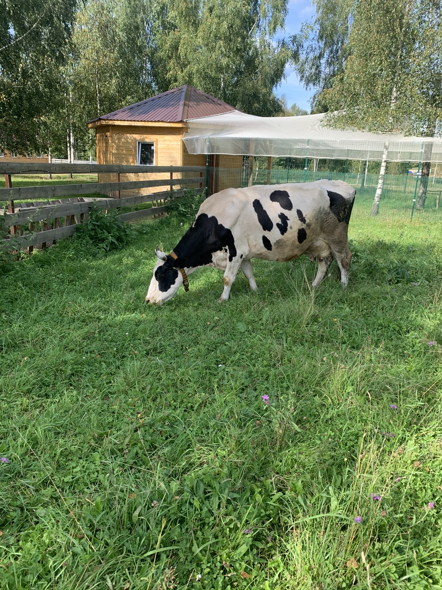 Фото Джао ДаЧа