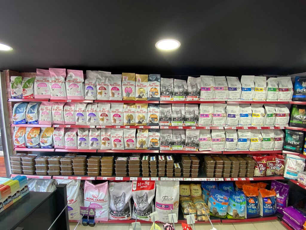 Pet shop Titanic Aquarium Pet Shop 3 Kartaltepe, Istanbul, photo