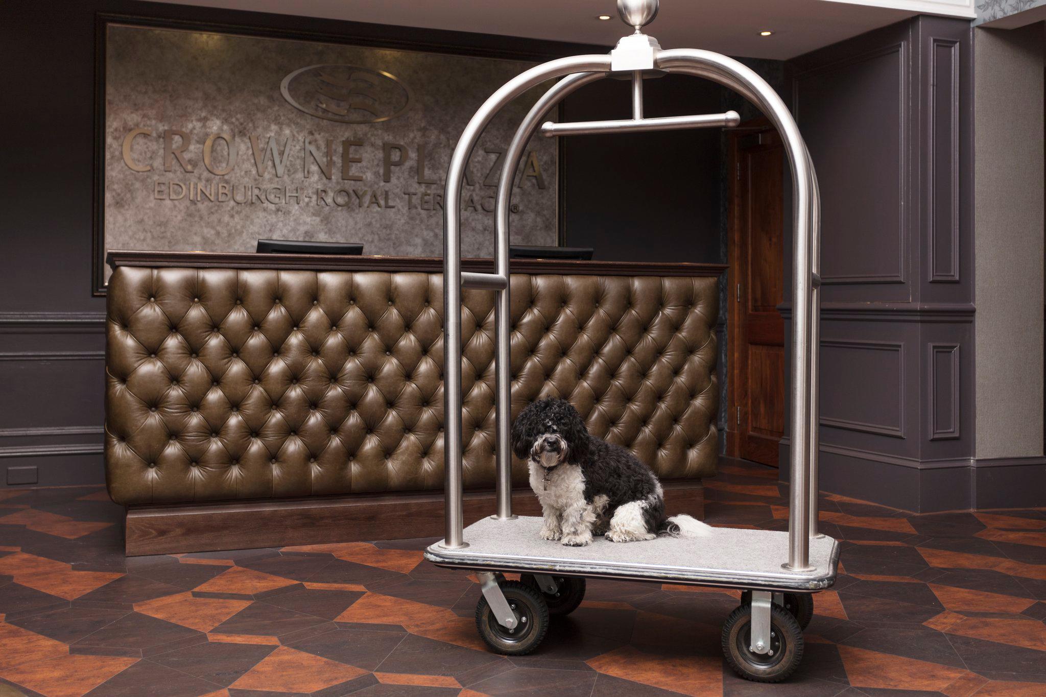 Фото voco Edinburgh  Royal Terrace by IHG