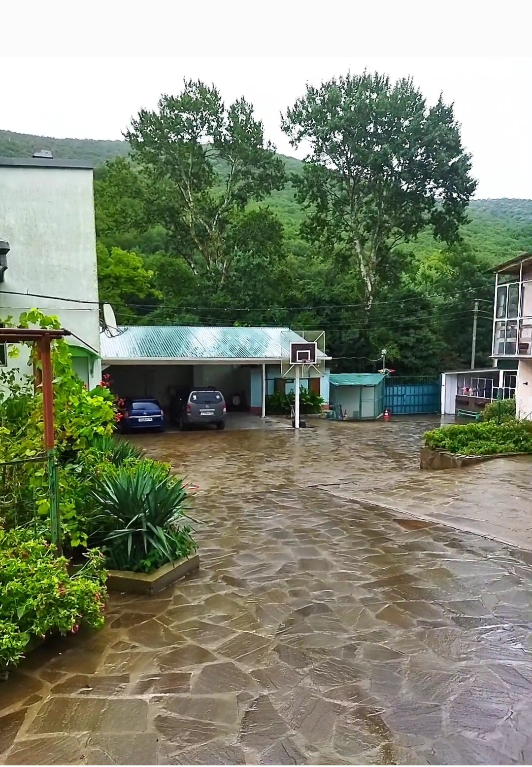 Фото Семейный